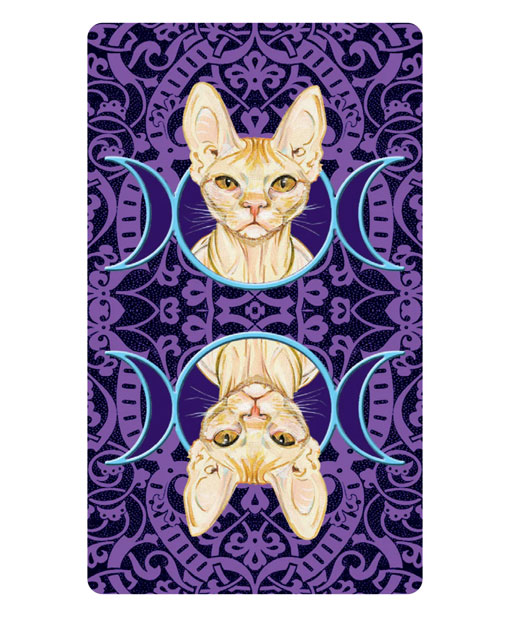 Tarot of Pagan Cats Mini Deck (Tarô de Bolso) - Imagem 5