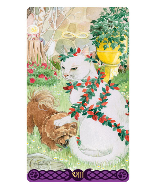 Tarot of Pagan Cats Mini Deck (Tarô de Bolso) - Imagem 4