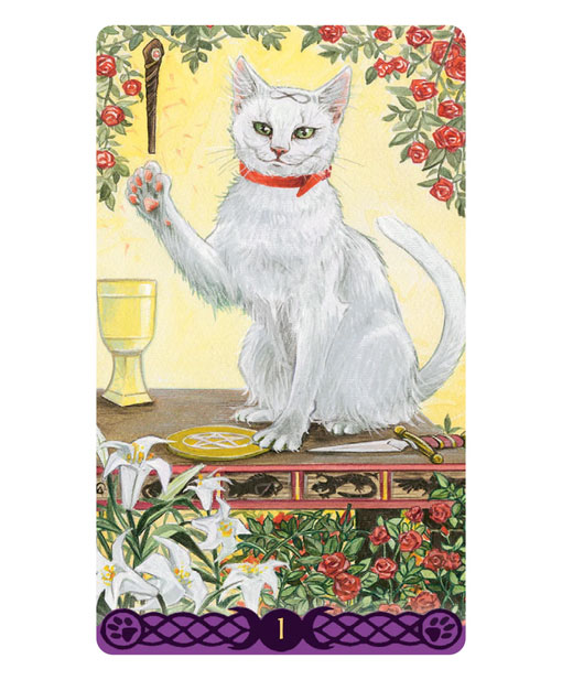 Tarot of Pagan Cats Mini Deck (Tarô de Bolso) - Imagem 2