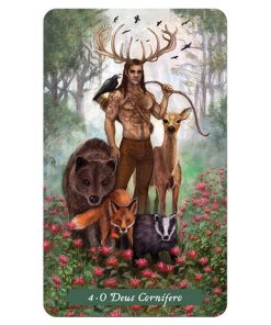 O Tarô da Bruxa Verde - Ann Moura