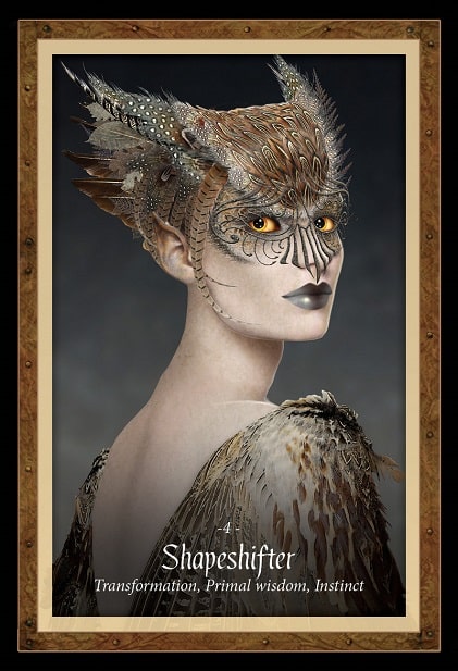 The Faery Forest - Imagem 4
