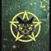 Witches' Familiars Oracle Cards