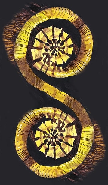 Primordial Tarot - Sergio Toppi - Imagem 9