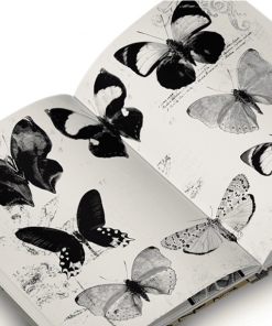 Bíblia Clássica do Tarot