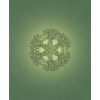Sacred Earth Oracle