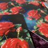 Cartas de Mulambo